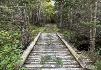The Road Less Travelled