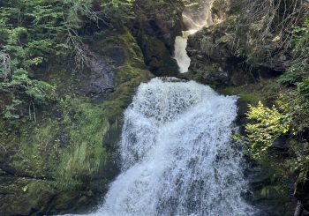 Who are you relying on for advice?